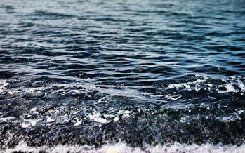 Forscher schlagen Alarm – den Meeren droht eine Katastrophe