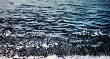 Forscher schlagen Alarm – den Meeren droht eine Katastrophe