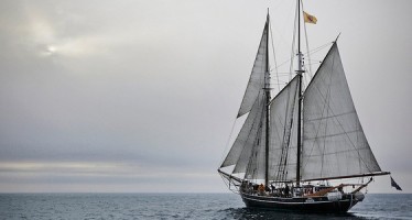 Segelschiff Opal – Wale gucken und dabei die Umwelt schonen