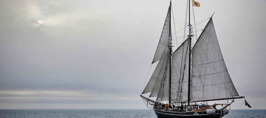 Segelschiff Opal – Wale gucken und dabei die Umwelt schonen