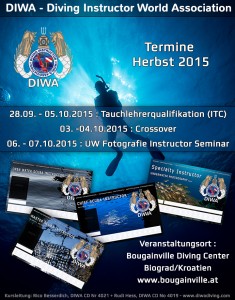 Das offizielle Poster zur Veranstaltung. (Quelle: DIWA)