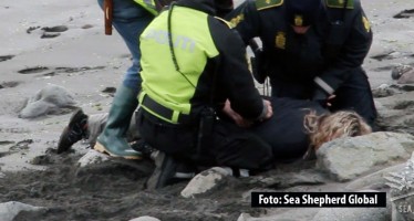 Sea Shepherd wegen Faröer-Aktion von Gericht für schuldig erklärt