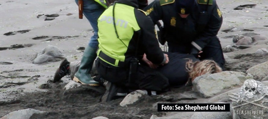Sea Shepherd wegen Faröer-Aktion von Gericht für schuldig erklärt