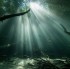 Fotogalerie - Das unterwasserfestival.ch in Gossau geht in die 6. Runde