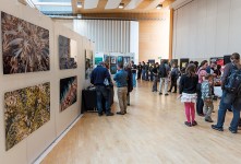 Fotogalerie – Das unterwasserfestival.ch in Gossau geht in die 6. Runde