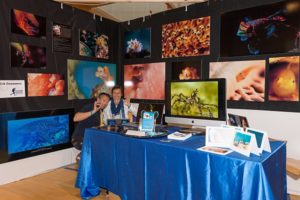 Goosmanns-by-Unterwasserfestival_ch