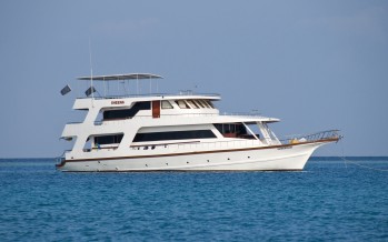 Sheena November Special 2015