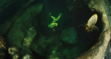 SÜSSWASSER-WELTEN Ausstellung im österreichischen Steyr