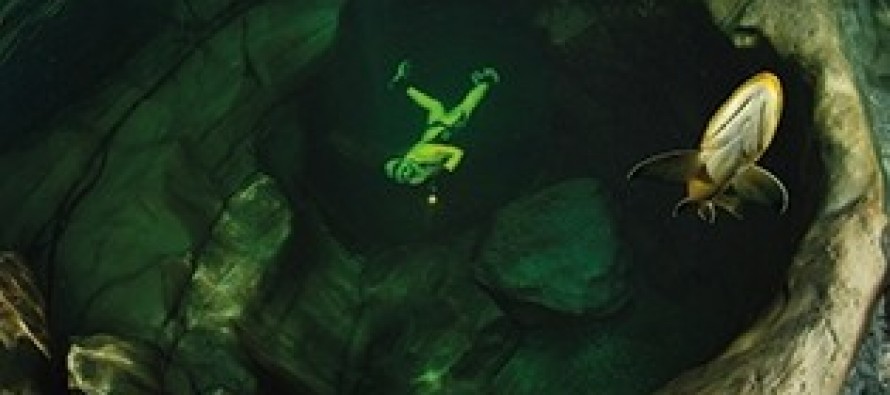 SÜSSWASSER-WELTEN Ausstellung im österreichischen Steyr