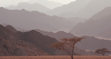Lufthansa-Gruppe stoppt Flüge auf den Sinai