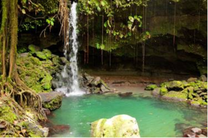 Dominica Natur