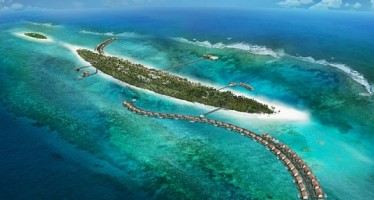 Euro-Divers Maldives starten Korallenschutz-Projekt