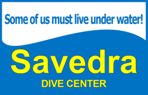 03_100186_0573_orig_savedra_logo_400