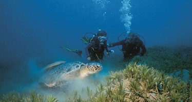 Neu im südlichen Ägypten:  diving.DE Abu Dabab