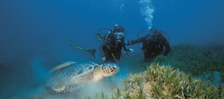Neu im südlichen Ägypten:  diving.DE Abu Dabab
