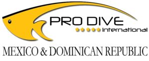 Logo PDI Mexico & Dominican Republic