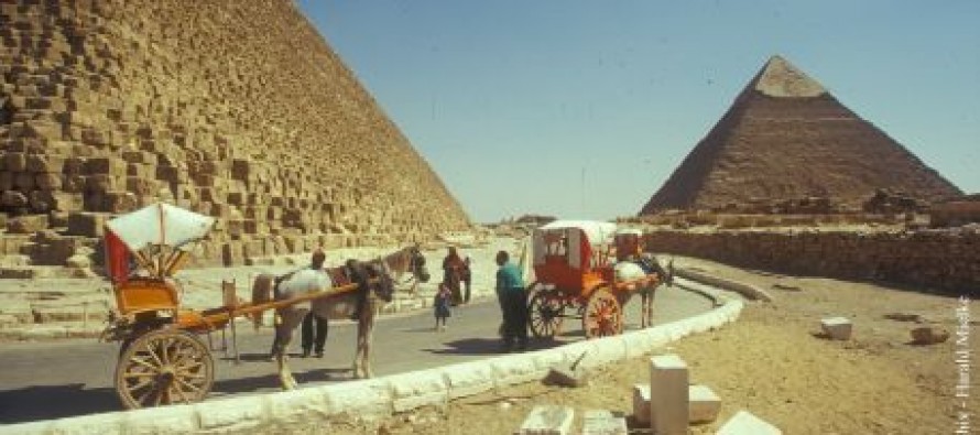 Ägypten – NEWS