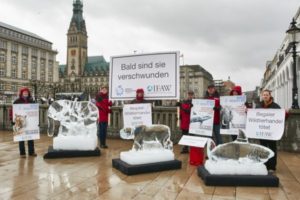 IFAW_02_IFAW_WWD