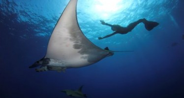 Neue Destinationen im Angebot von WeDive Travel AG