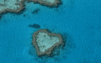 Korallenbleiche in Australien verschärft sich
