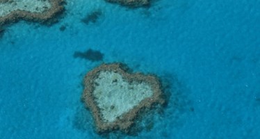 Korallenbleiche in Australien verschärft sich