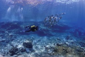 THE CANARY ISLANDS DIVE PHOTO CHALLENGE_2a