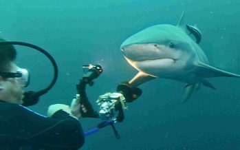 Aqua Active Agency auf Entdeckungsreise in Südafrika