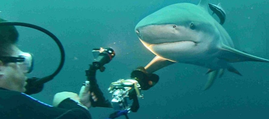 Aqua Active Agency auf Entdeckungsreise in Südafrika