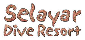 selayar-logo