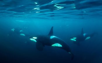 Norwegen – Wo das Abenteuer zuhause ist