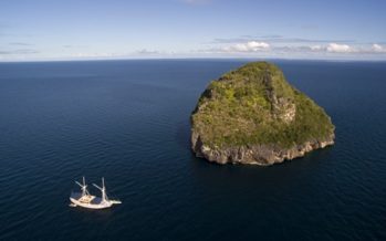 Ökosystem Korallenriff