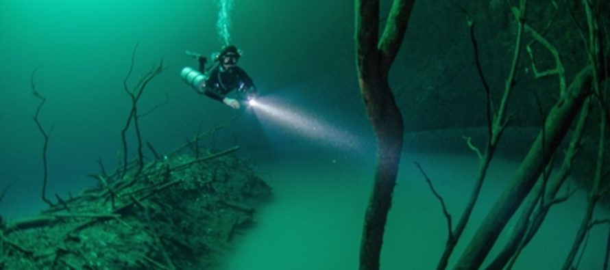 CENOTE ANGELITA