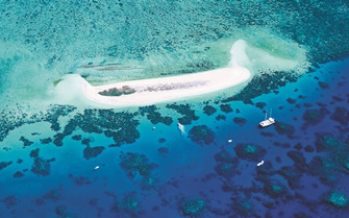 Neue globale Bewegung zum Schutz des Great Barrier Reefs