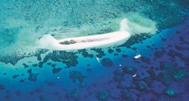 Neue globale Bewegung zum Schutz des Great Barrier Reefs