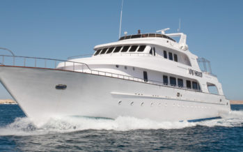 Mit dem Reisecenter Federsee auf Jubiläums-Tauchsafari in Ägypten