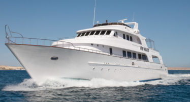 Mit dem Reisecenter Federsee auf Jubiläums-Tauchsafari in Ägypten