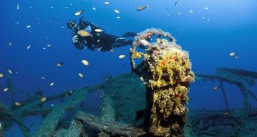 Unterwasser-Fotowettbewerb „Blue Dolphin of Malta“