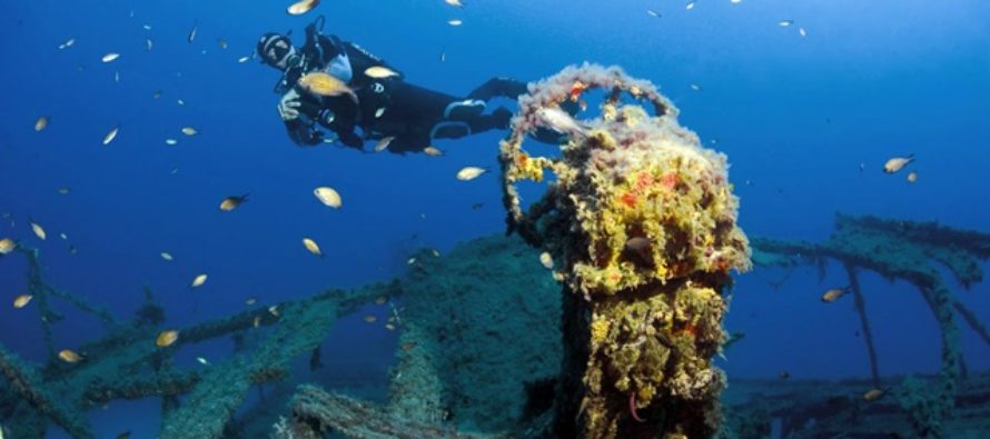 Unterwasser-Fotowettbewerb „Blue Dolphin of Malta“