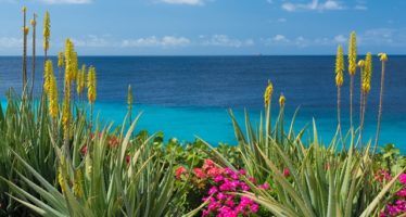 Mit Condor auch im Winter 2019/20 nonstop nach Curaçao