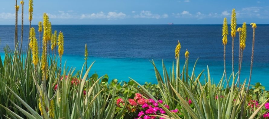 Mit Condor auch im Winter 2019/20 nonstop nach Curaçao