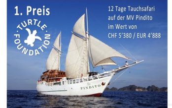 Gewinnen und Helfen –  11. Turtle Tombola auf der FESPO in Zürich