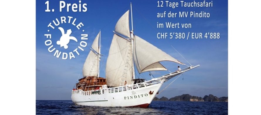 Gewinnen und Helfen –  11. Turtle Tombola auf der FESPO in Zürich