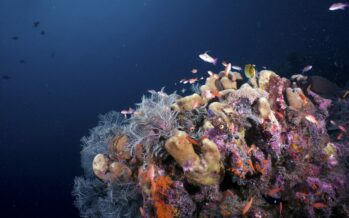 Malaysia ist zurück: Abenteuer- und Naturtourismus im tropischen Setting