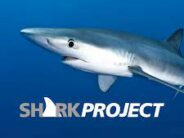 20 Jahre Sharkproject