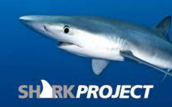 20 Jahre Sharkproject