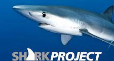 20 Jahre Sharkproject