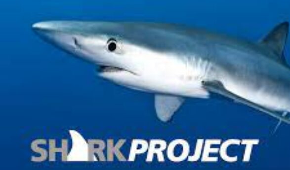 20 Jahre Sharkproject