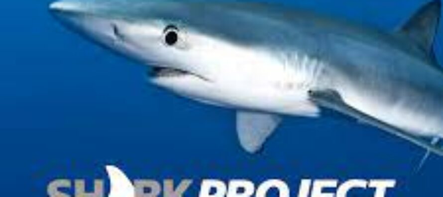 20 Jahre Sharkproject