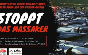 Demonstration am 12. November in Berlin: Stoppt das Massaker auf den Färöer-Inseln