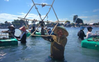 Vier Tage, 30.000 Korallenfragmente: Groß-Event zur Wiederherstellung von Korallenriffen am World Oceans Day